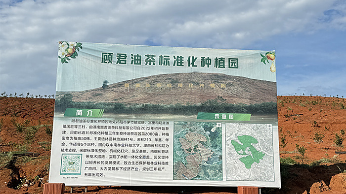 基地