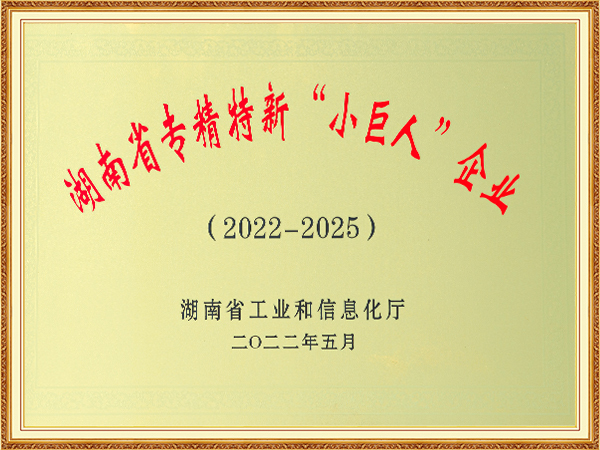 湖南省专精特新“小巨人”金业