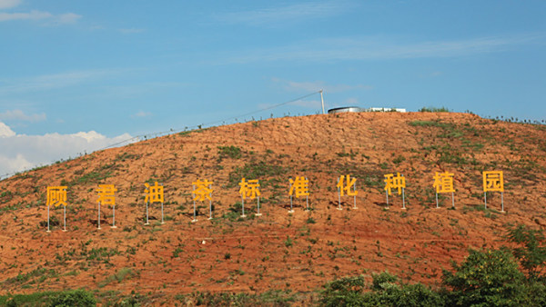 基地展示