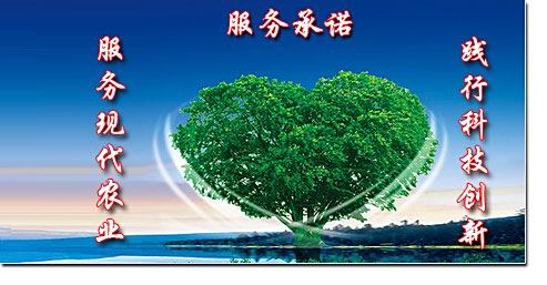 岳阳市金穗作物研究所,岳阳农作物品种的选育与改良,农作物新品种引进