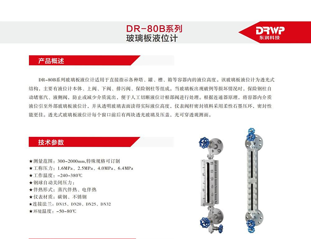 DR-80B玻璃板液位計 (2)