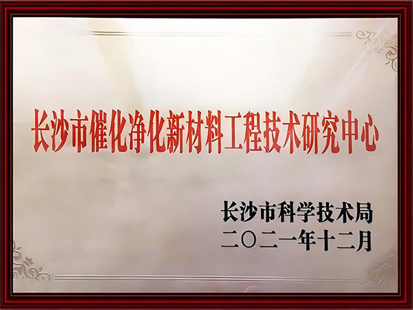 长沙市催化净化新材料工程技术研究中心（2021年）
