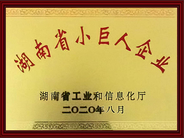 湖南省小巨人企业（2020年）