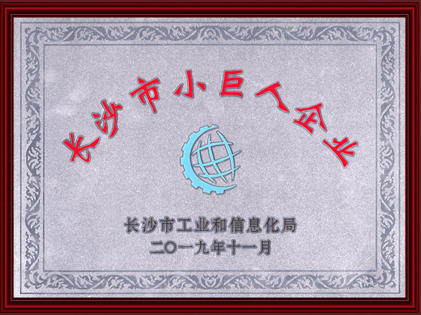 長(zhǎng)沙市小巨人企業(yè)