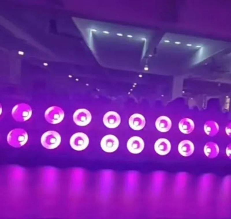 圖片 5
