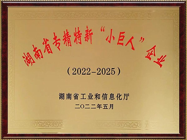Hunan Province Specialized, Refined, Unique and New "Little Giant" Plaque