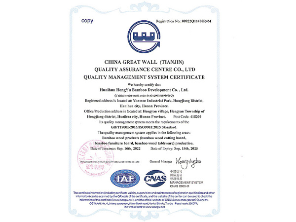 ISO9001