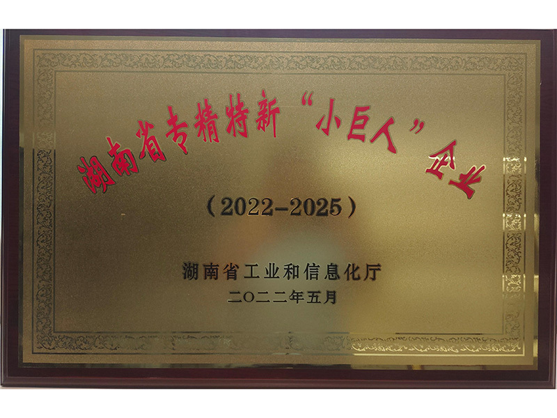 2022湖南省專(zhuān)精特新“小巨人”企業(yè)