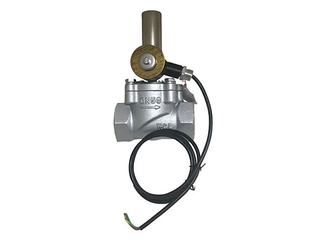 DN50（螺纹）