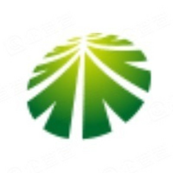 巴斯夫杉杉电池材料（宁夏）有限公司