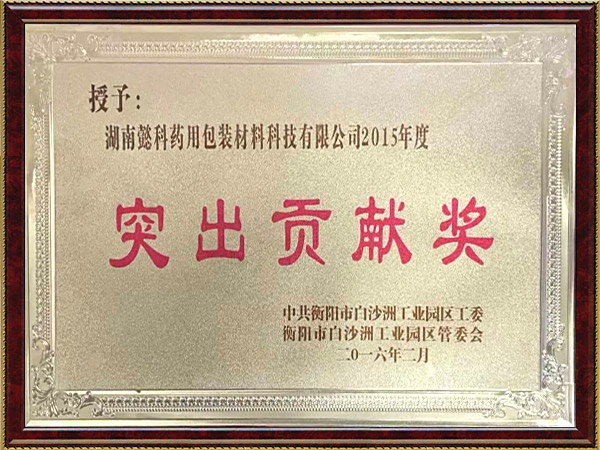 突出贡献奖