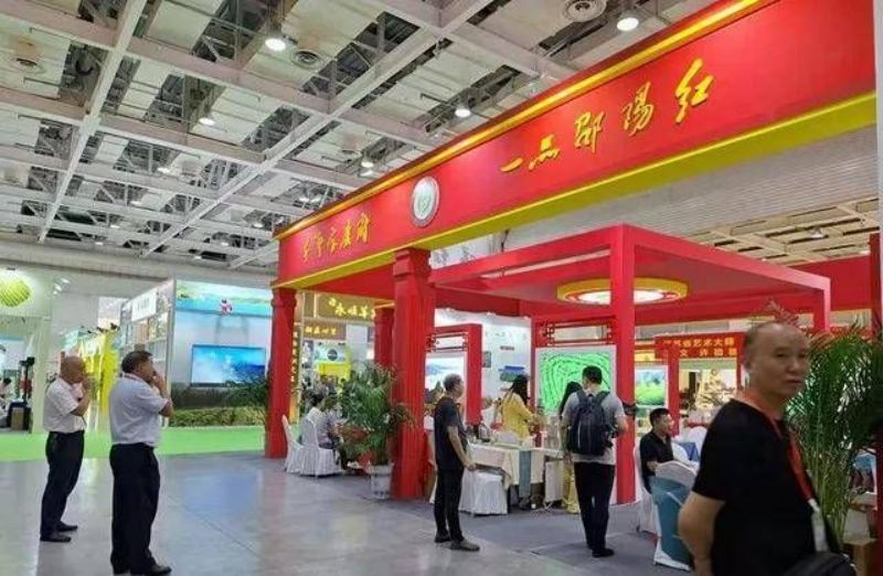 图片 4