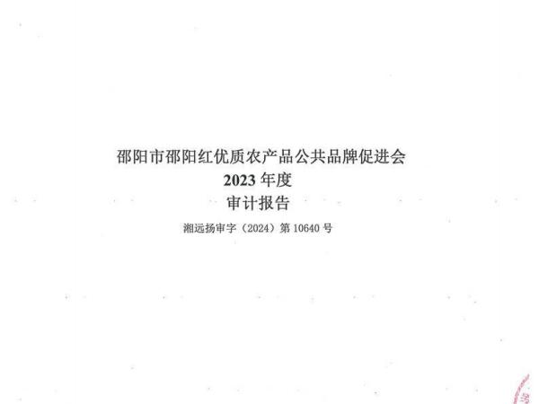 2023年审计报告