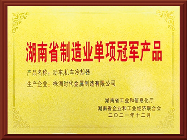 湖南省制造业单项冠军