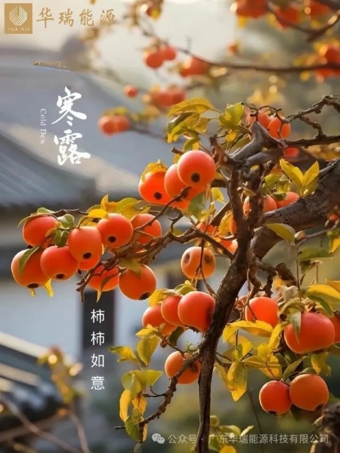 图片 1