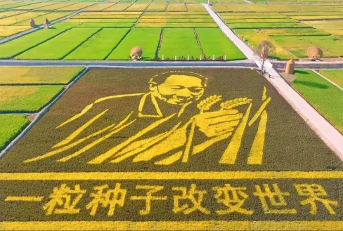 C:\Desktop\微信图片_20241024102932.png微信图片_20241024102932