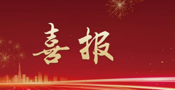 喜报！湖南中咨入选为长沙市中级人民法院2024-2025年度对外委托鉴定类专业机构