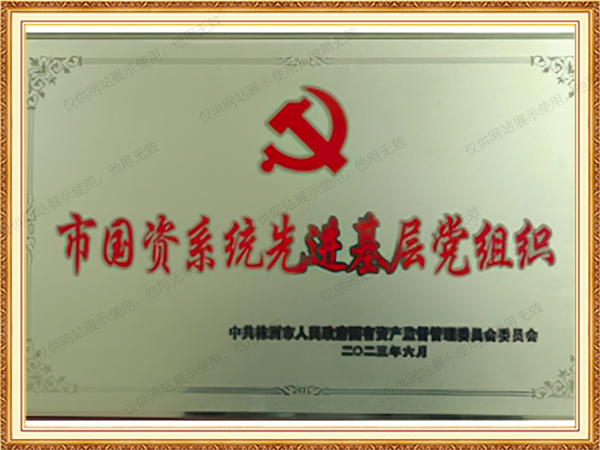 市国资系统先进基层党组织