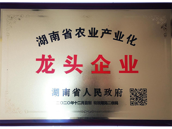 2020年湖南省農(nóng)業(yè)產(chǎn)業(yè)化龍頭企業(yè)