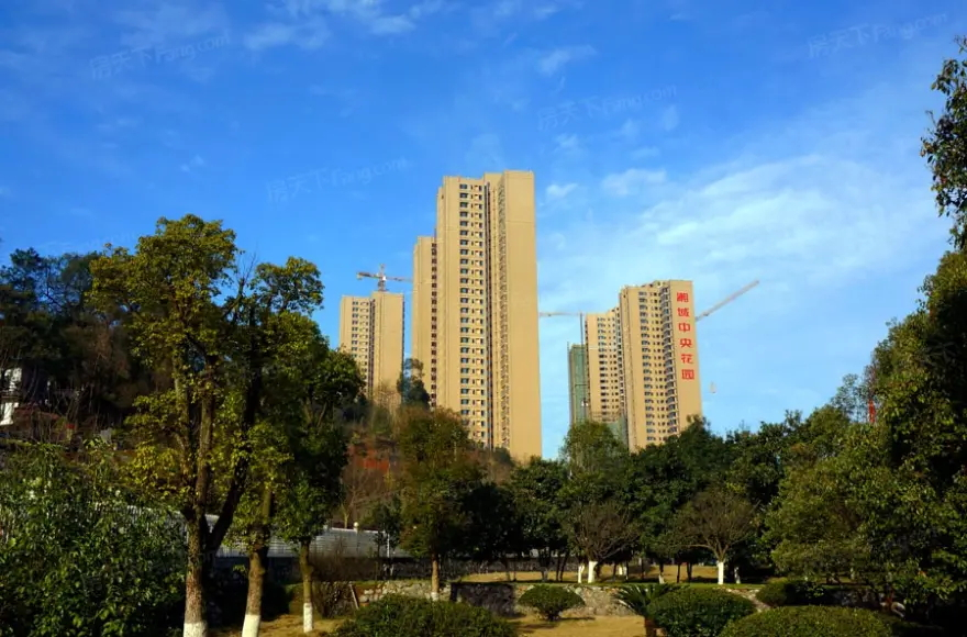 湘域中央_看图王.web