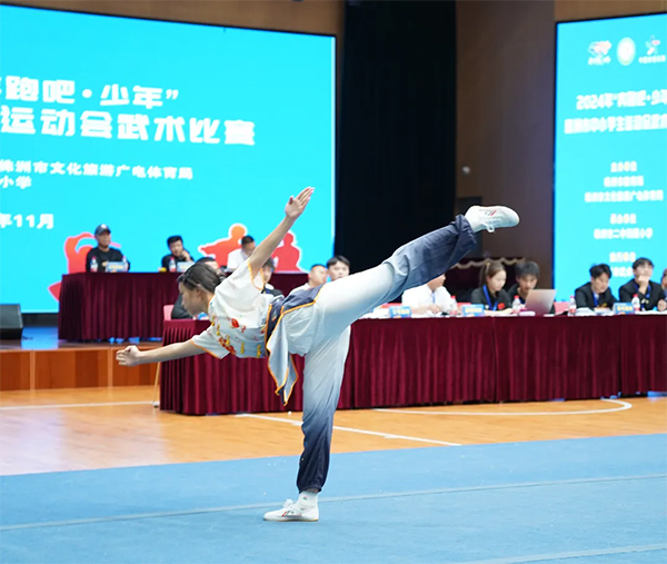 株洲湘骏文武学校勇夺12金8银6铜！荣获2个第一！ (15)