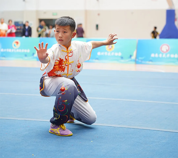 株洲湘骏文武学校勇夺12金8银6铜！荣获2个第一！ (9)