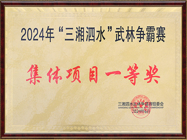 2024年“三湘泗水”武林争霸赛-集体项目一等奖