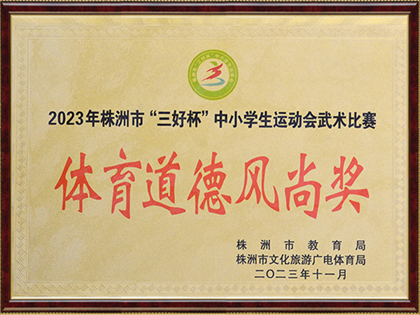 2023年株洲市“三好杯”中小学生运动会武术比赛-体育道德风尚奖