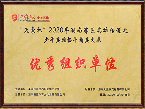 “天豪杯”2020年湖南赛区英雄传说之少年英雄格斗精英大赛-优秀组织单位