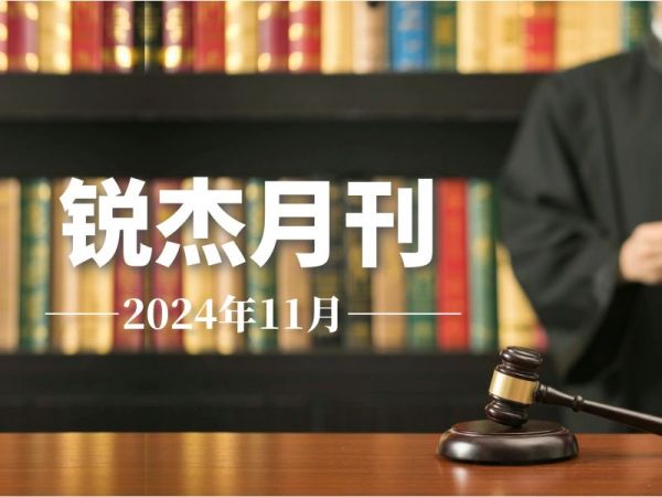 锐杰月刊||十一寒霜凝冬月，锐意笃行谱新章，锐杰律所11月事记