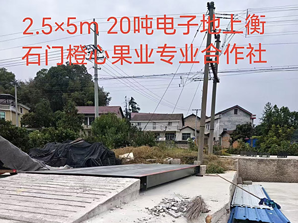 石门橙心果业专业得作社-安装效果图