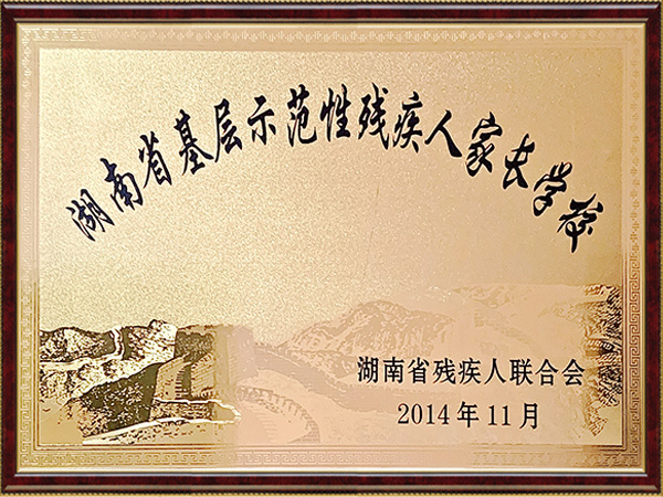湖南省基层示范性残疾人家长学校