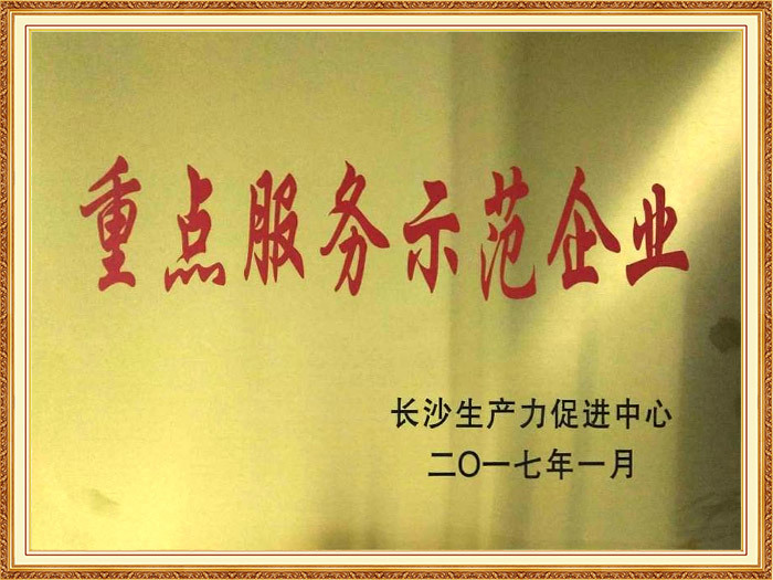 重点服务示范企业