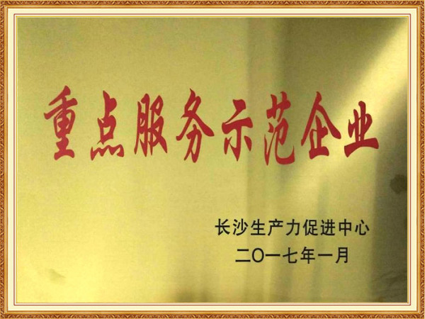 重点服务示范企业