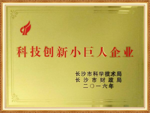 科技创新小巨人企业