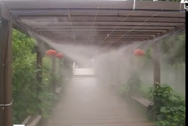 “生物除臭劑”是什么呢？