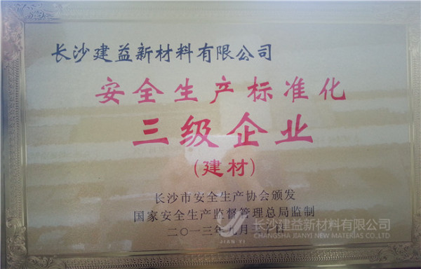 安全生產(chǎn)標(biāo)準(zhǔn)化三級企業(yè)