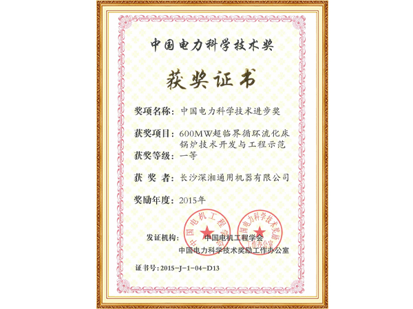 2015年中國電力科學(xué)技術(shù)進(jìn)步一等獎(jiǎng)