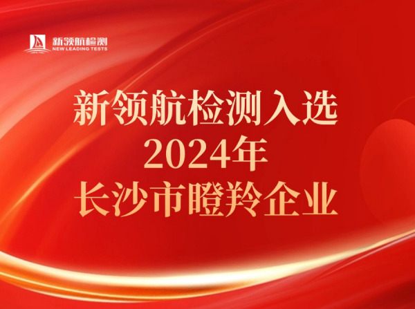 企业荣誉｜新领航检测入选2024年长沙市瞪羚企业