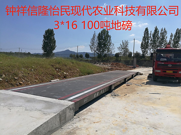 钟祥信隆怡民现代农业科技有限公司（3-16-4-100T）U形梁地磅安装效果图
