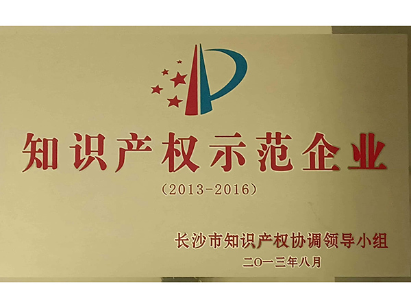 2013知識產(chǎn)權(quán)示范企業(yè)