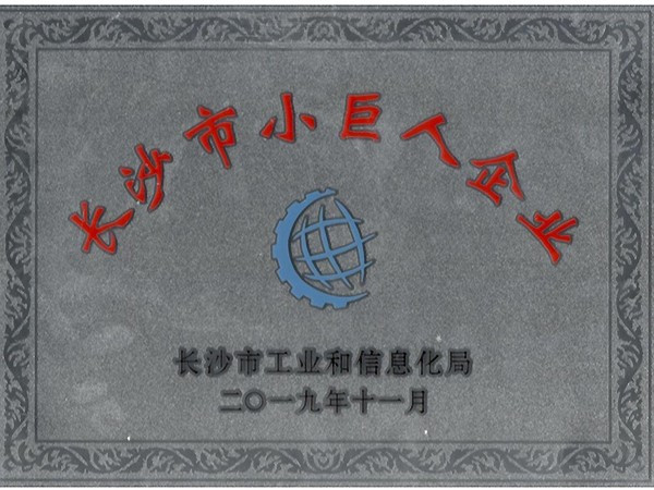 2019年度被認(rèn)定為長沙市小巨人企業(yè)