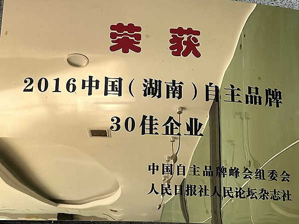 2016年中國（湖南）自主品牌30佳企業(yè)