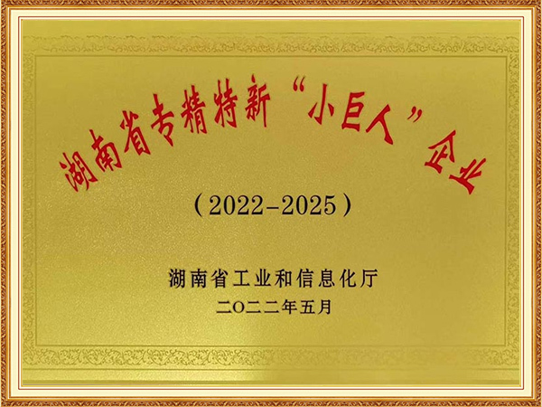 湖南省专精特新小巨人企业
