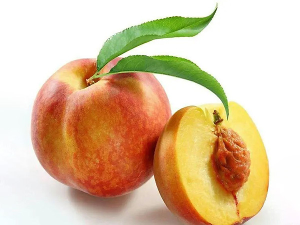 4.桃子油 4.桃子油