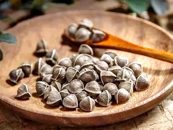 辣木籽油的作用