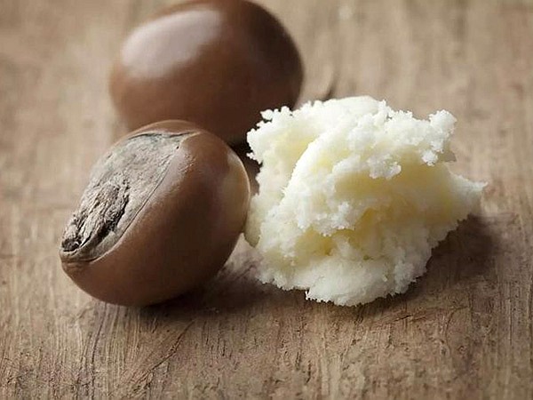 8.乳木果油 8.乳木果油