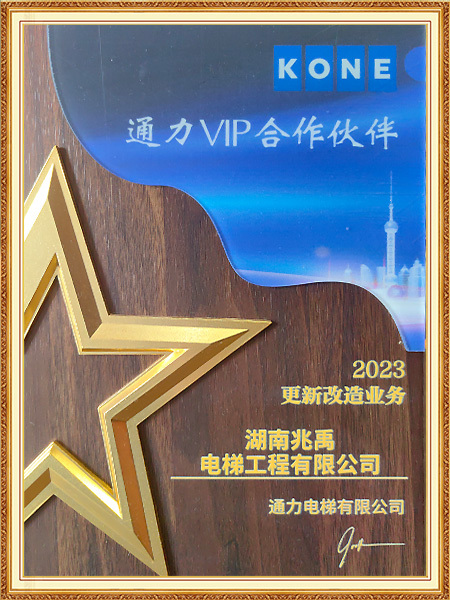 通力VIP合作伙伴