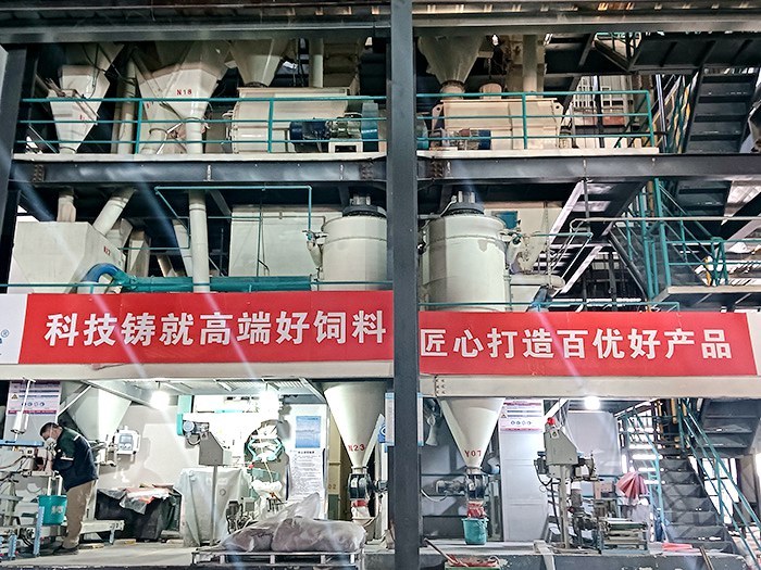 全自动化生产设备 (4)