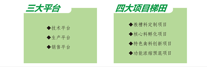企业文化_03